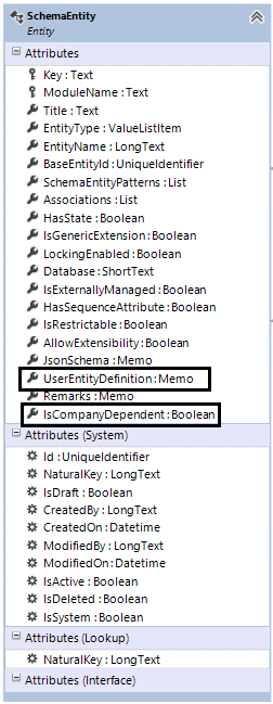 SchemaEntity-CustomEntityDefinition