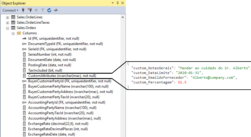 Entity-CustomAttributes